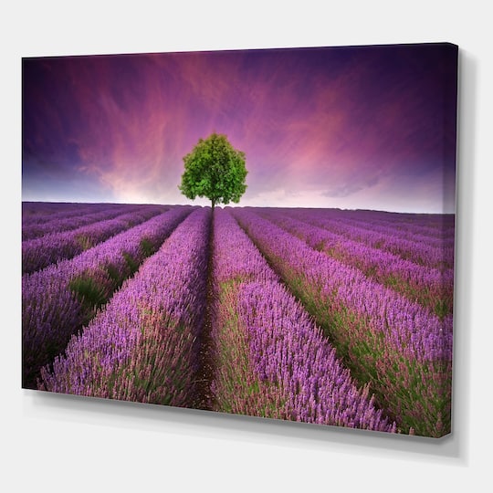 Designart - Lavender Field Sunset with Single Tree - Floral Canvas Art Print